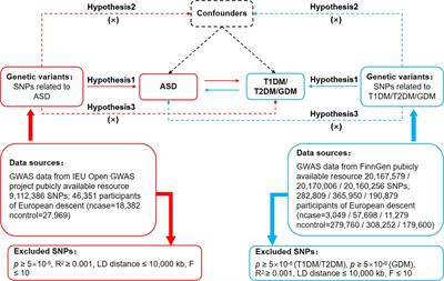 Risk cycling in diabetes and autism spectrum disorder: a bidirectional Mendelian randomization study